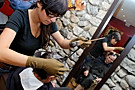 img003.jpg
