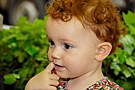 img073.jpg