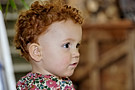 img075.jpg