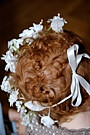 img130.jpg