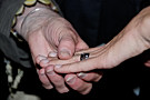 img169.jpg