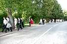 img117.jpg